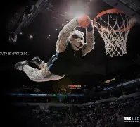 包含今晚明尼苏达森林狼止住颓势——欧超杯节点到来；质疑声仍在；临场指挥获称赞的词条